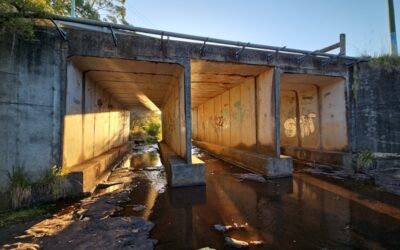 Level 2 Inspection of Major Culverts and Risk Assessment Prioritisation