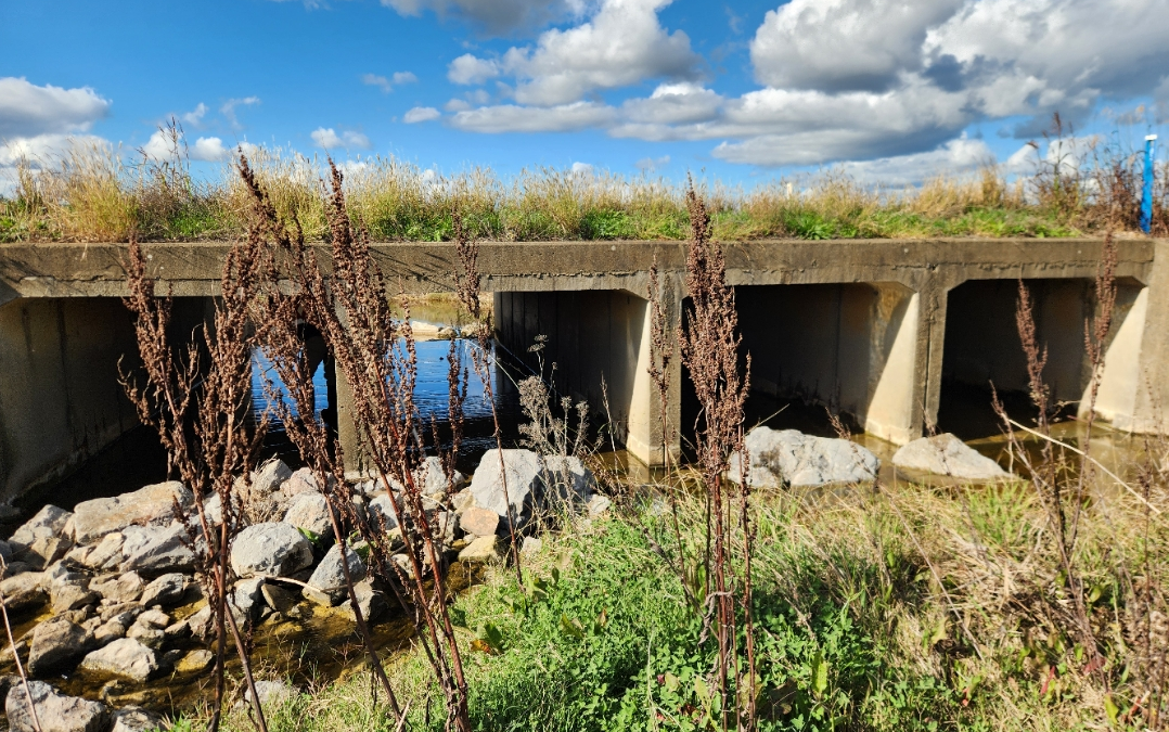 Level 3 Investigation – Wallamore Road Culverts