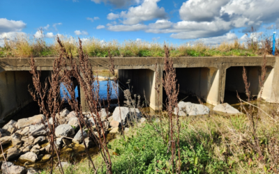 Level 3 Investigation – Wallamore Road Culverts